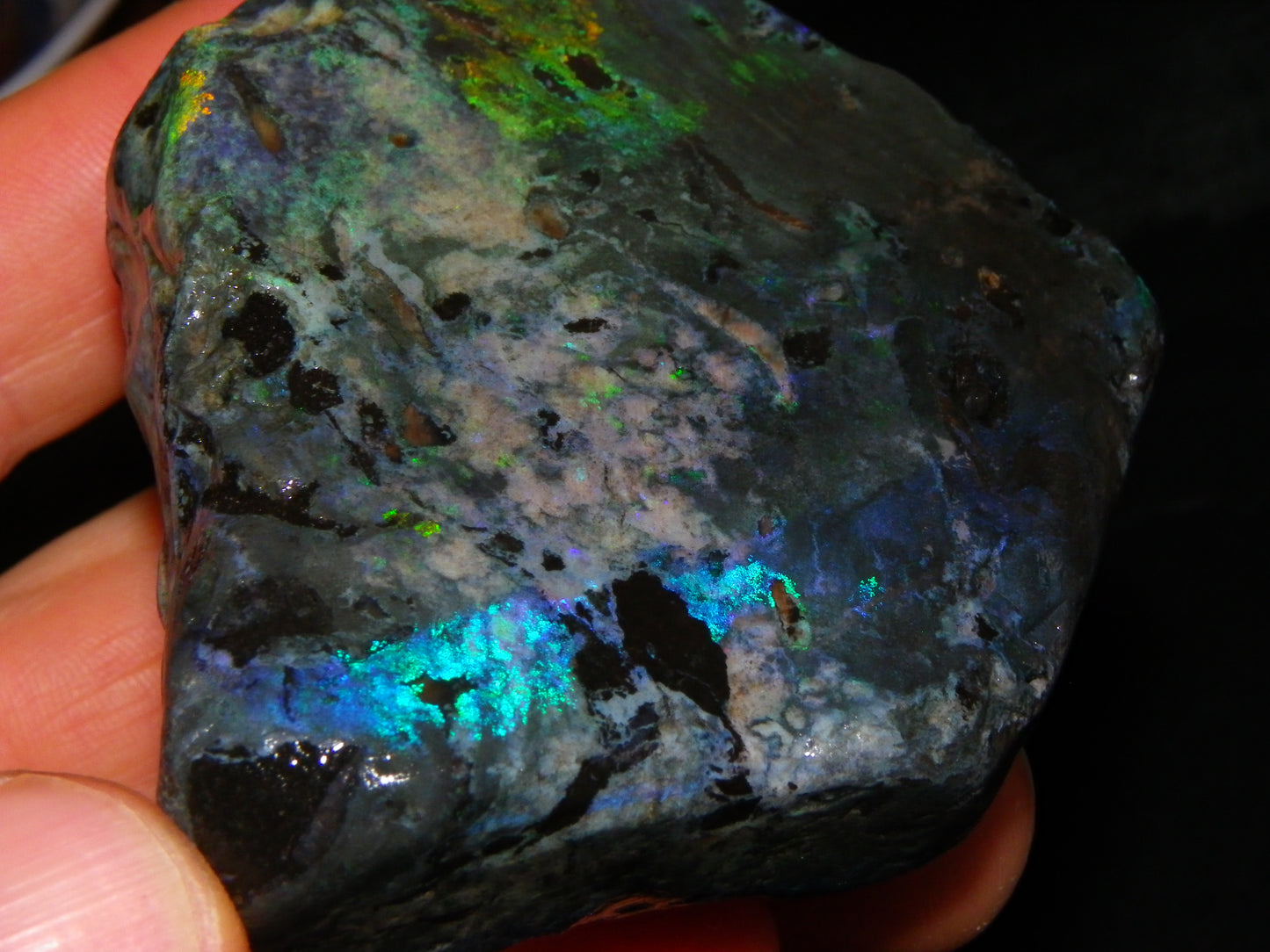 NIce Chunk Rough/Treated Andamooka Matrix Opal 628cts Multicolour Fires/Bars