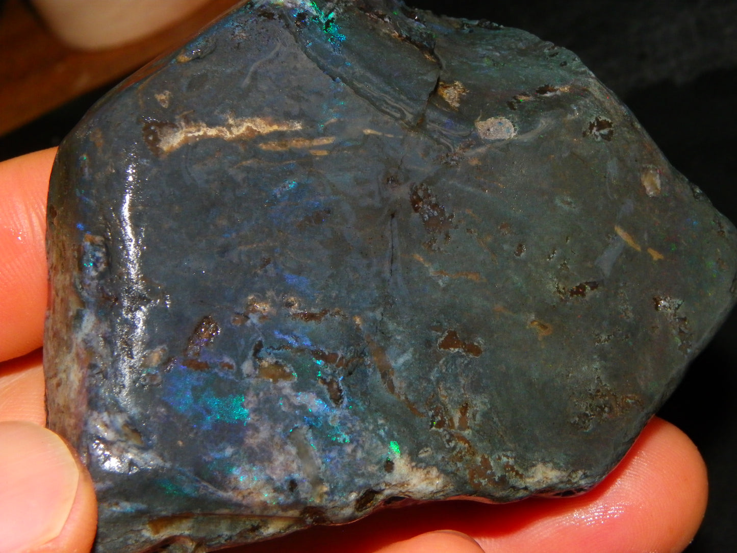 NIce Chunk Rough/Treated Andamooka Matrix Opal 628cts Multicolour Fires/Bars