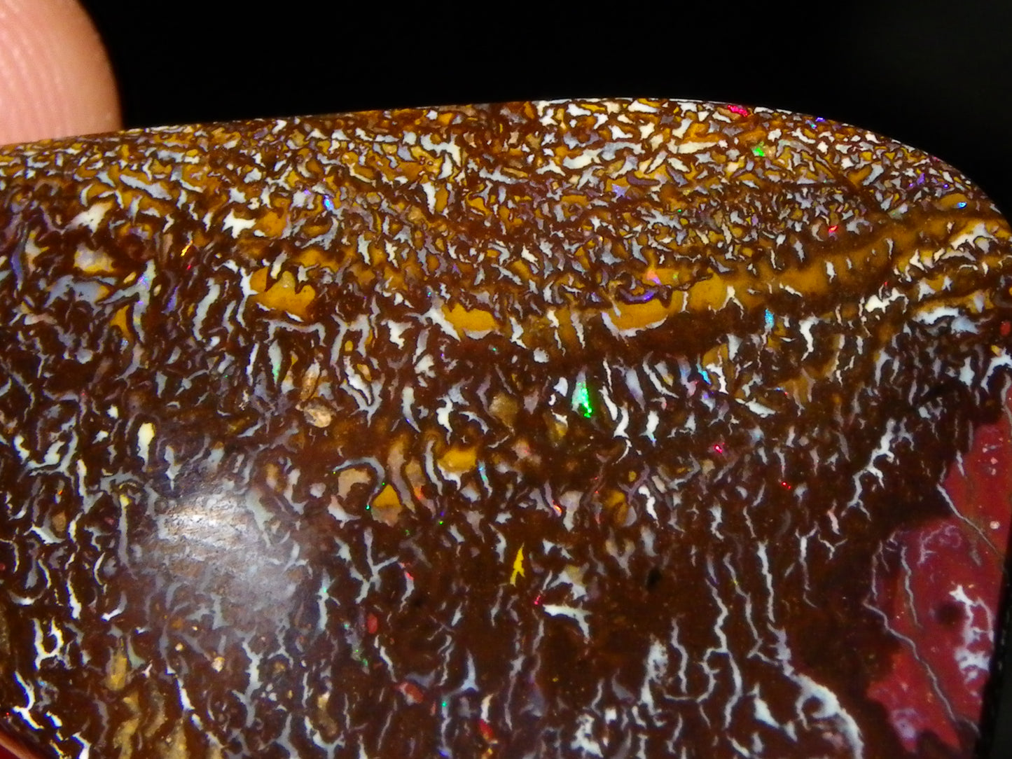 Nice Cut/Polished Koroit Opal Freeform 41.4cts Great Patterns/Some Fires :)