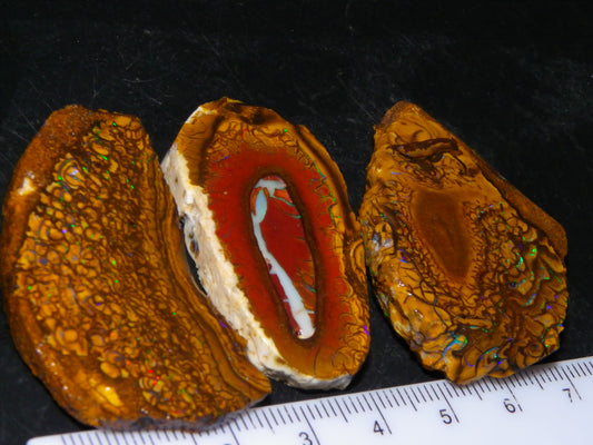 3 Nice Sliced Koroit Opal Rough/specimens 193.4cts Queensland Australia