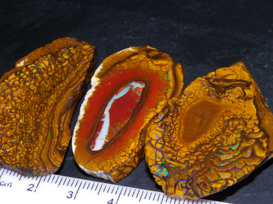 3 Nice Sliced Koroit Opal Rough/specimens 193.4cts Queensland Australia