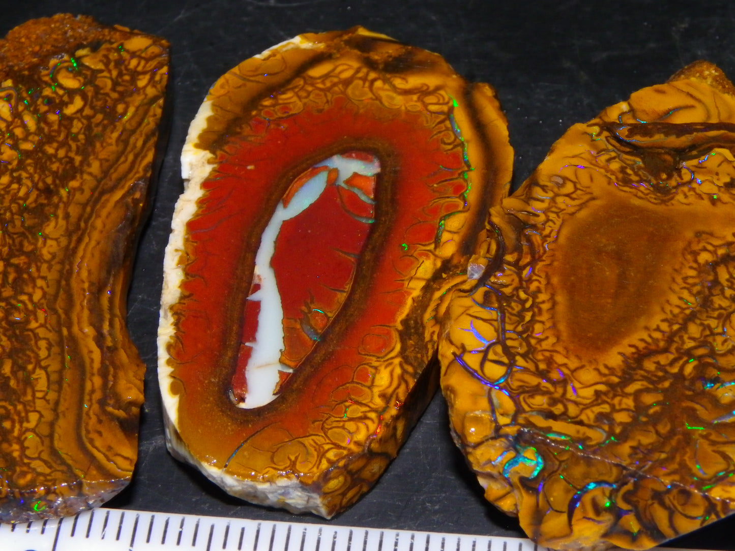 3 Nice Sliced Koroit Opal Rough/specimens 193.4cts Queensland Australia