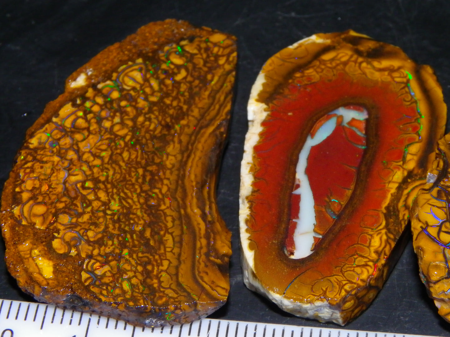 3 Nice Sliced Koroit Opal Rough/specimens 193.4cts Queensland Australia