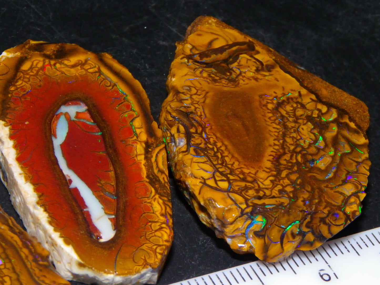 3 Nice Sliced Koroit Opal Rough/specimens 193.4cts Queensland Australia