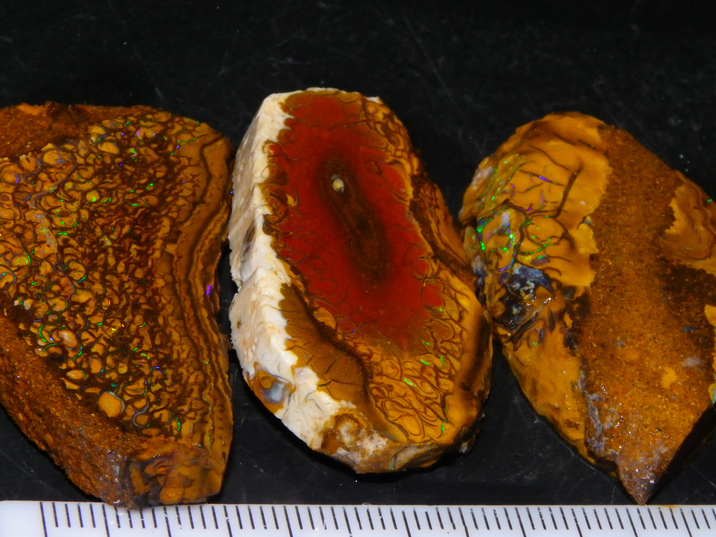 3 Nice Sliced Koroit Opal Rough/specimens 193.4cts Queensland Australia