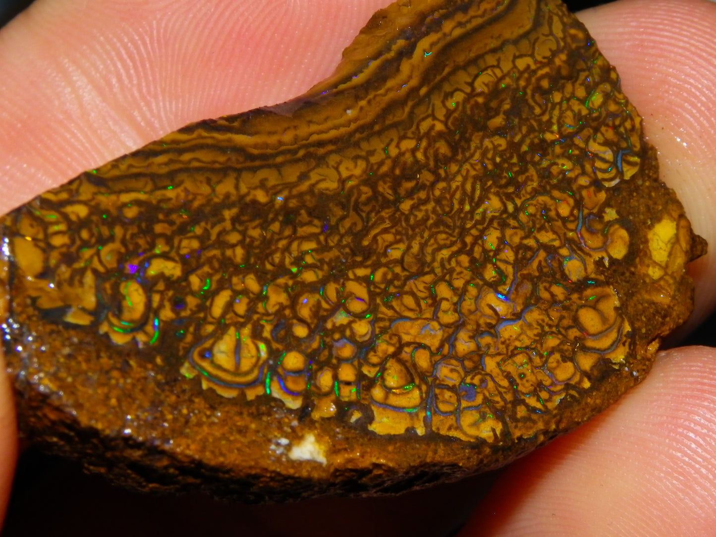 3 Nice Sliced Koroit Opal Rough/specimens 193.4cts Queensland Australia