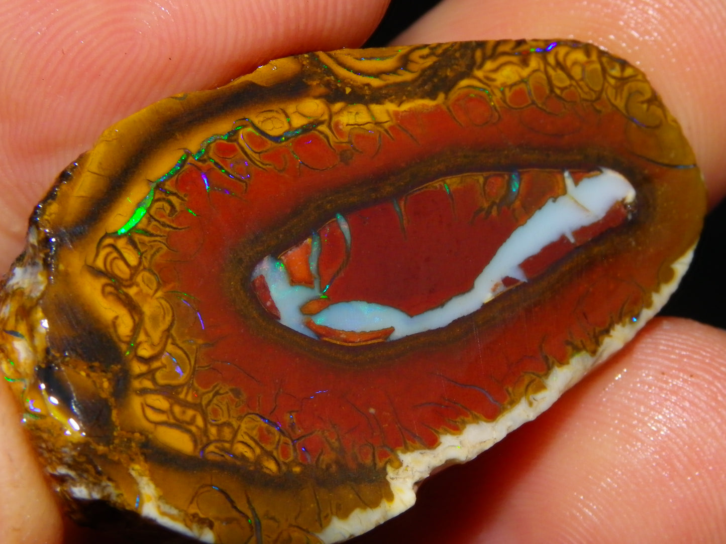 3 Nice Sliced Koroit Opal Rough/specimens 193.4cts Queensland Australia