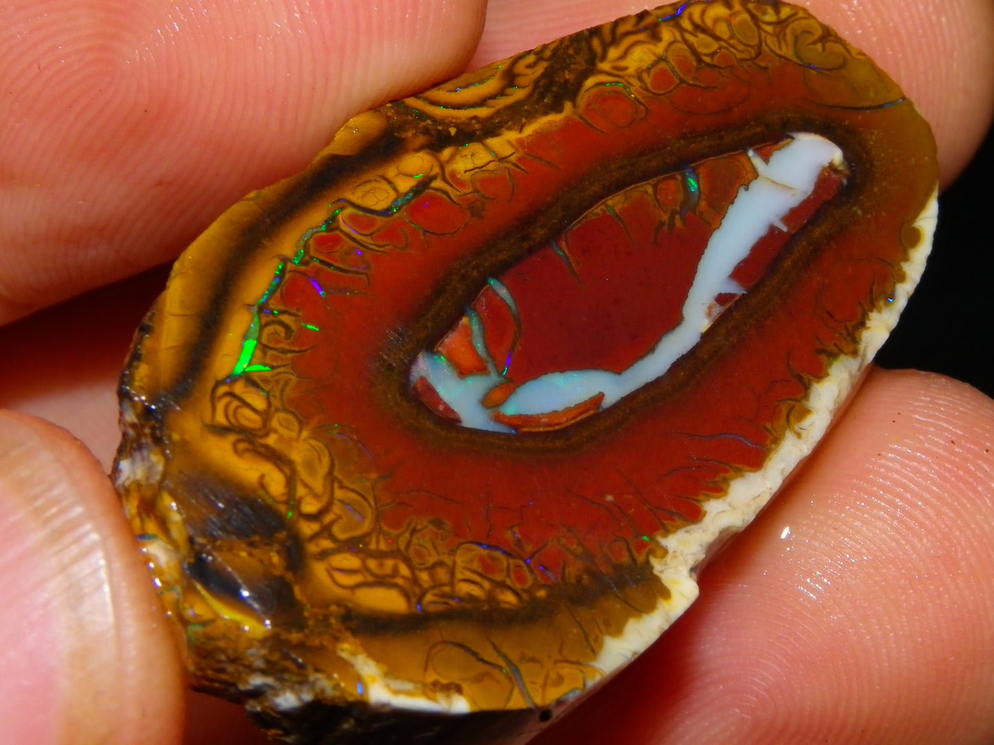 3 Nice Sliced Koroit Opal Rough/specimens 193.4cts Queensland Australia