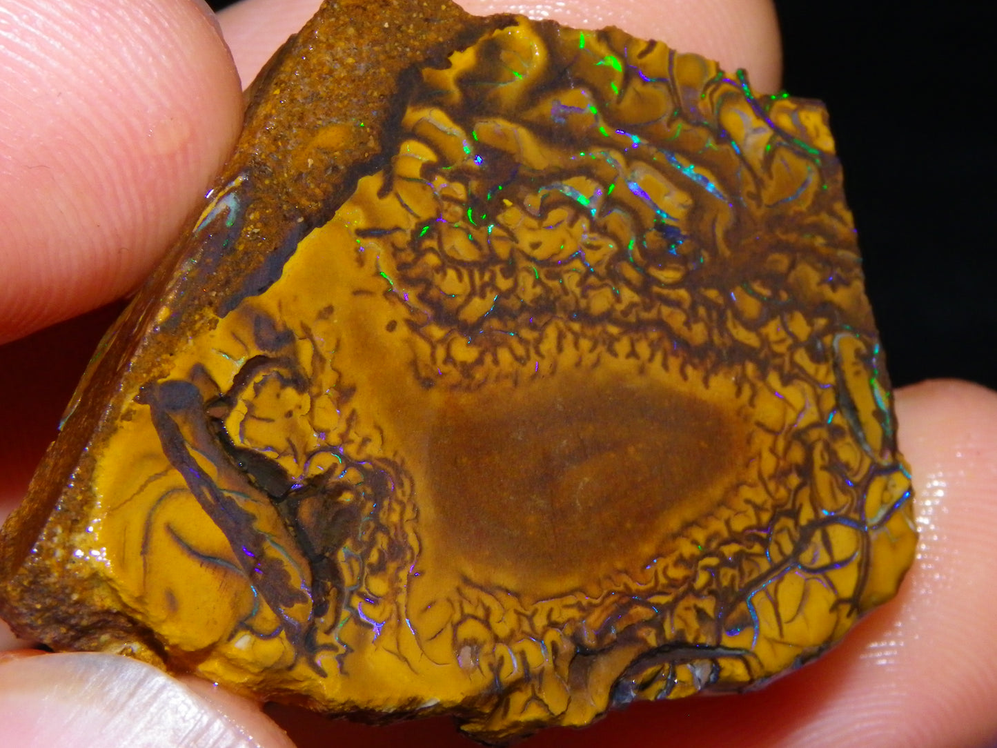 3 Nice Sliced Koroit Opal Rough/specimens 193.4cts Queensland Australia