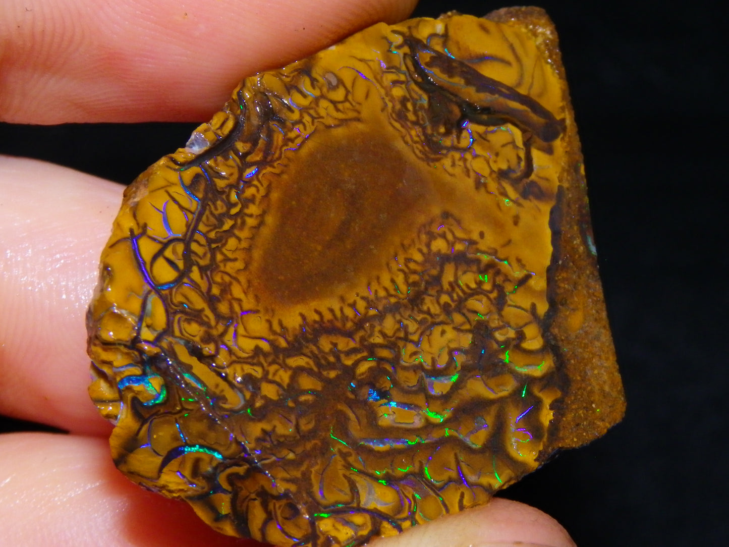 3 Nice Sliced Koroit Opal Rough/specimens 193.4cts Queensland Australia