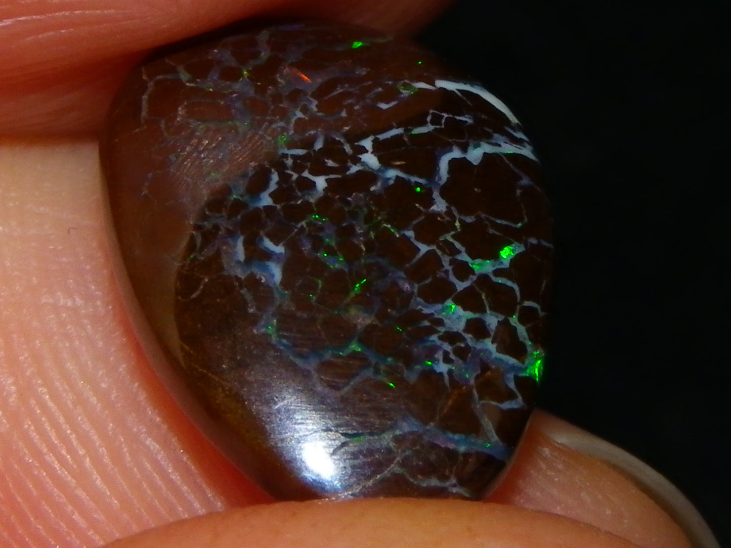 2 Nice Cut/Polished Queensland Matrix Opals 16.45cts Pink/Green Fires Australia