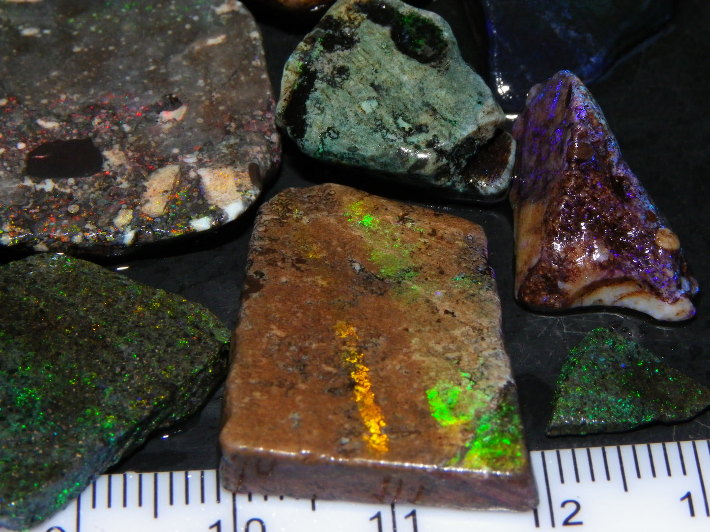 Nice Rough/sliced/Treated Andamooka Matrix Opals 143cts Blue/Green Fires :)