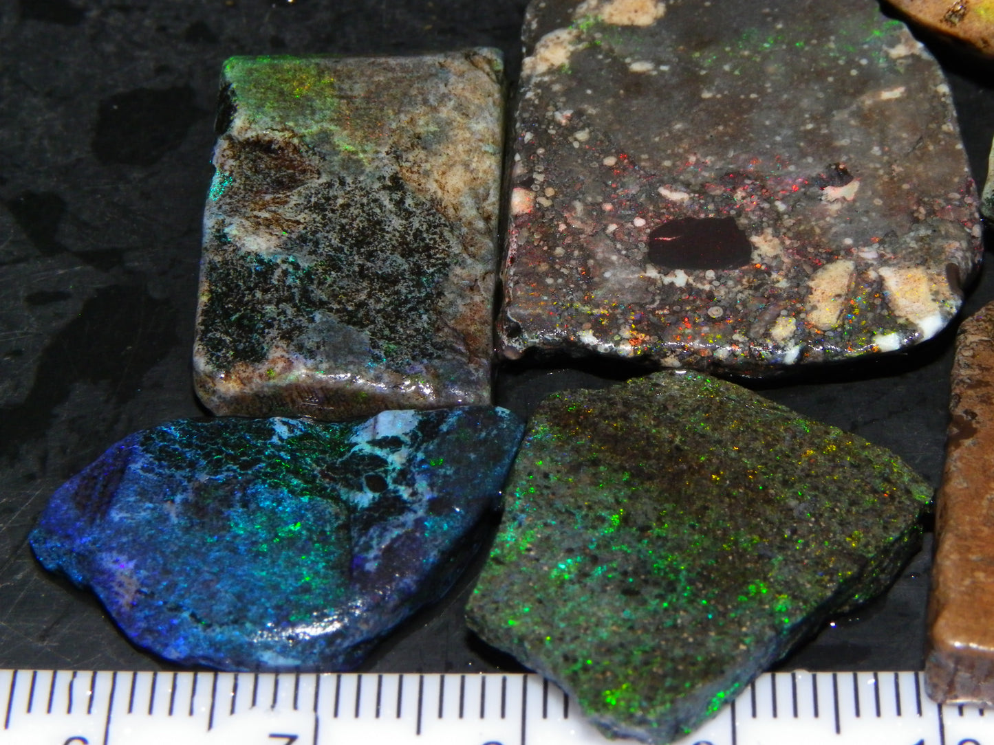 Nice Rough/sliced/Treated Andamooka Matrix Opals 143cts Blue/Green Fires :)