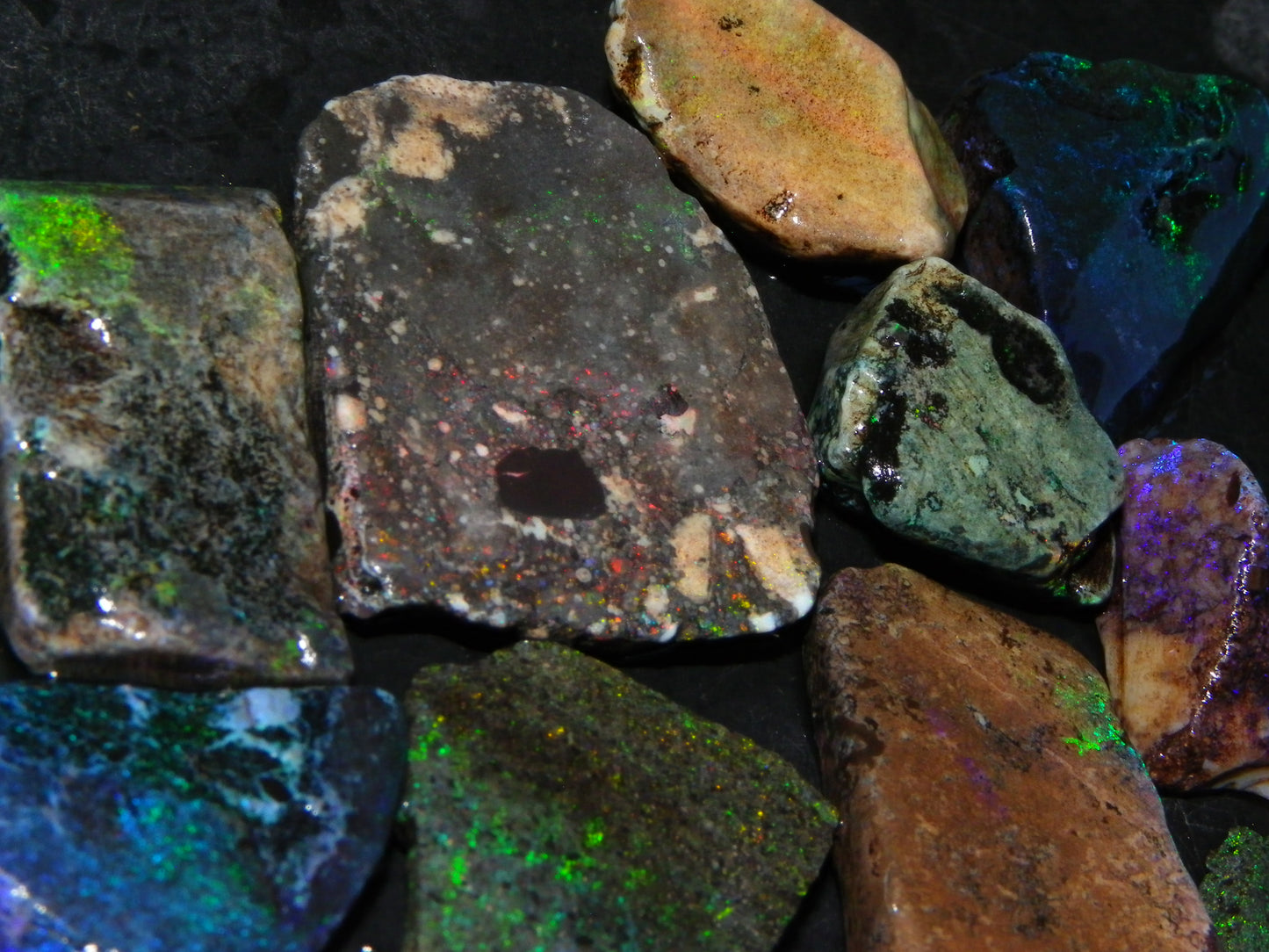 Nice Rough/sliced/Treated Andamooka Matrix Opals 143cts Blue/Green Fires :)