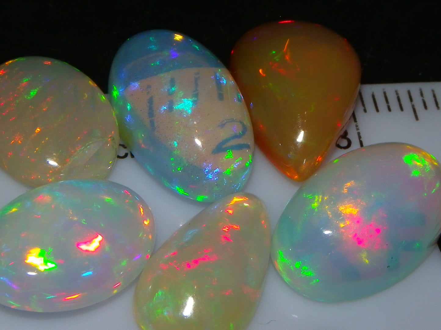 6 Nice Quality welo Crystal Opal Cabs 22.98cts Multicolour Fires Mixed Base :)