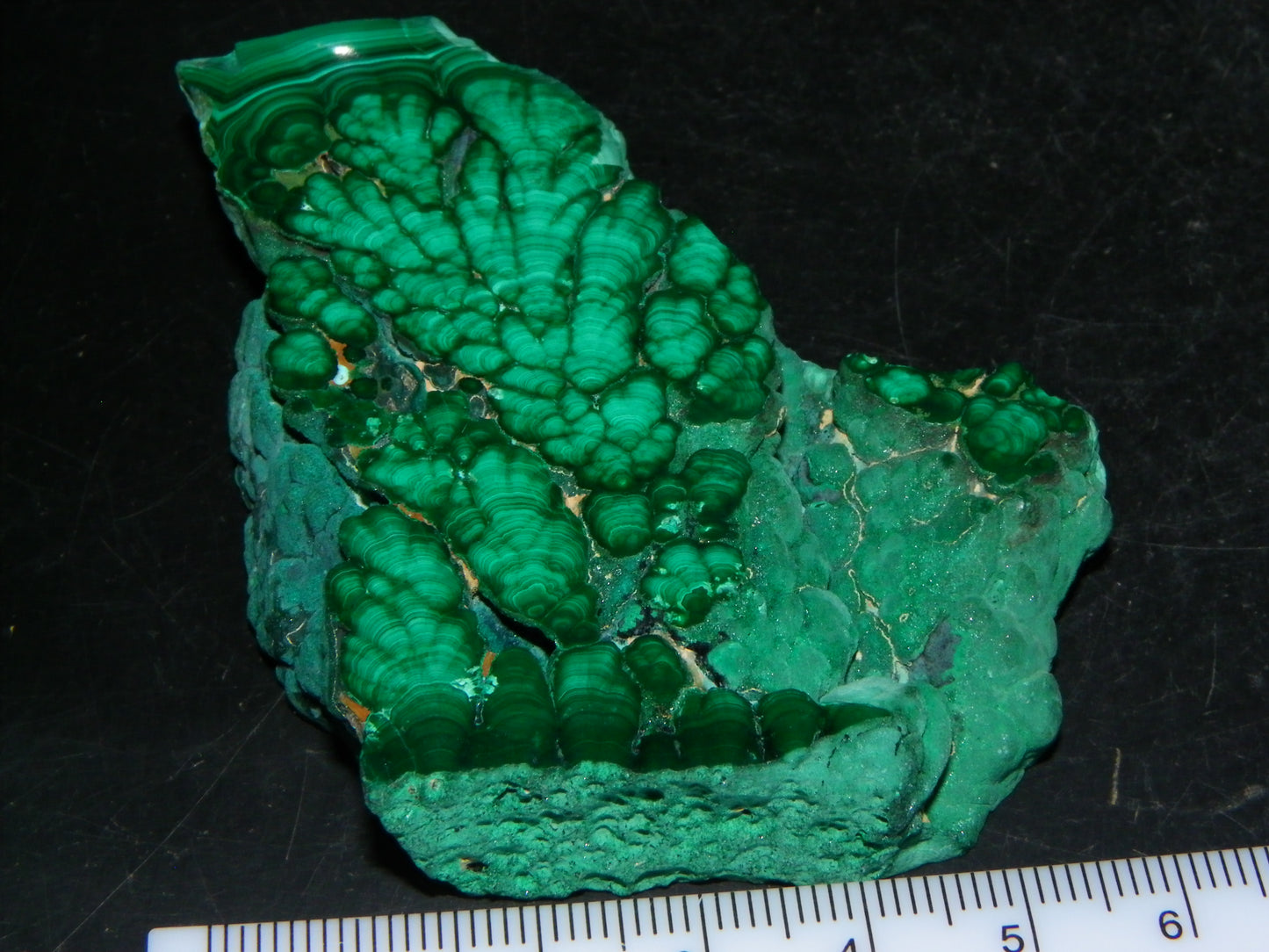 Nice Quality Malachite Polished Plume Specimen 565.5cts Superb Patterning :)