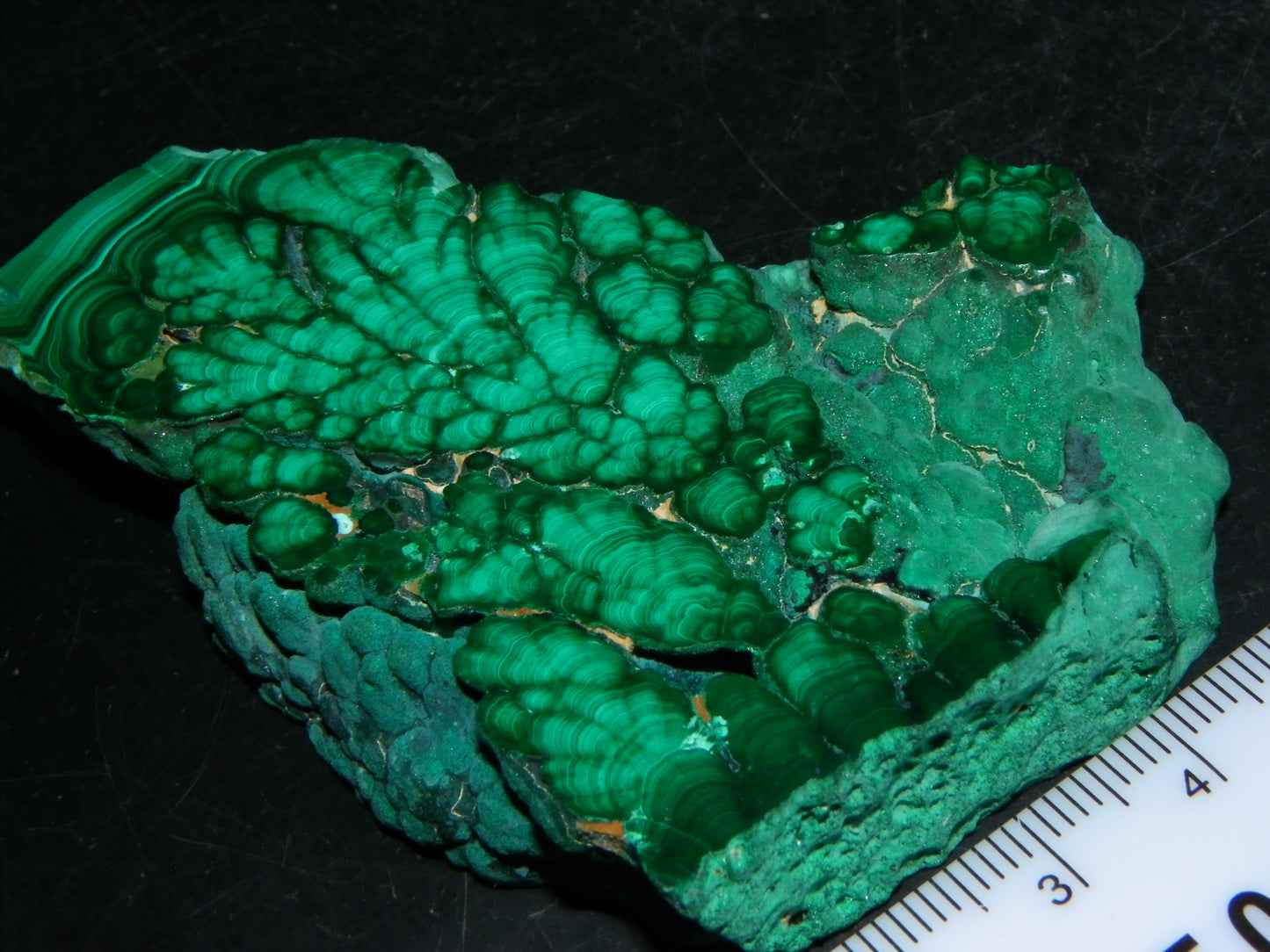 Nice Quality Malachite Polished Plume Specimen 565.5cts Superb Patterning :)