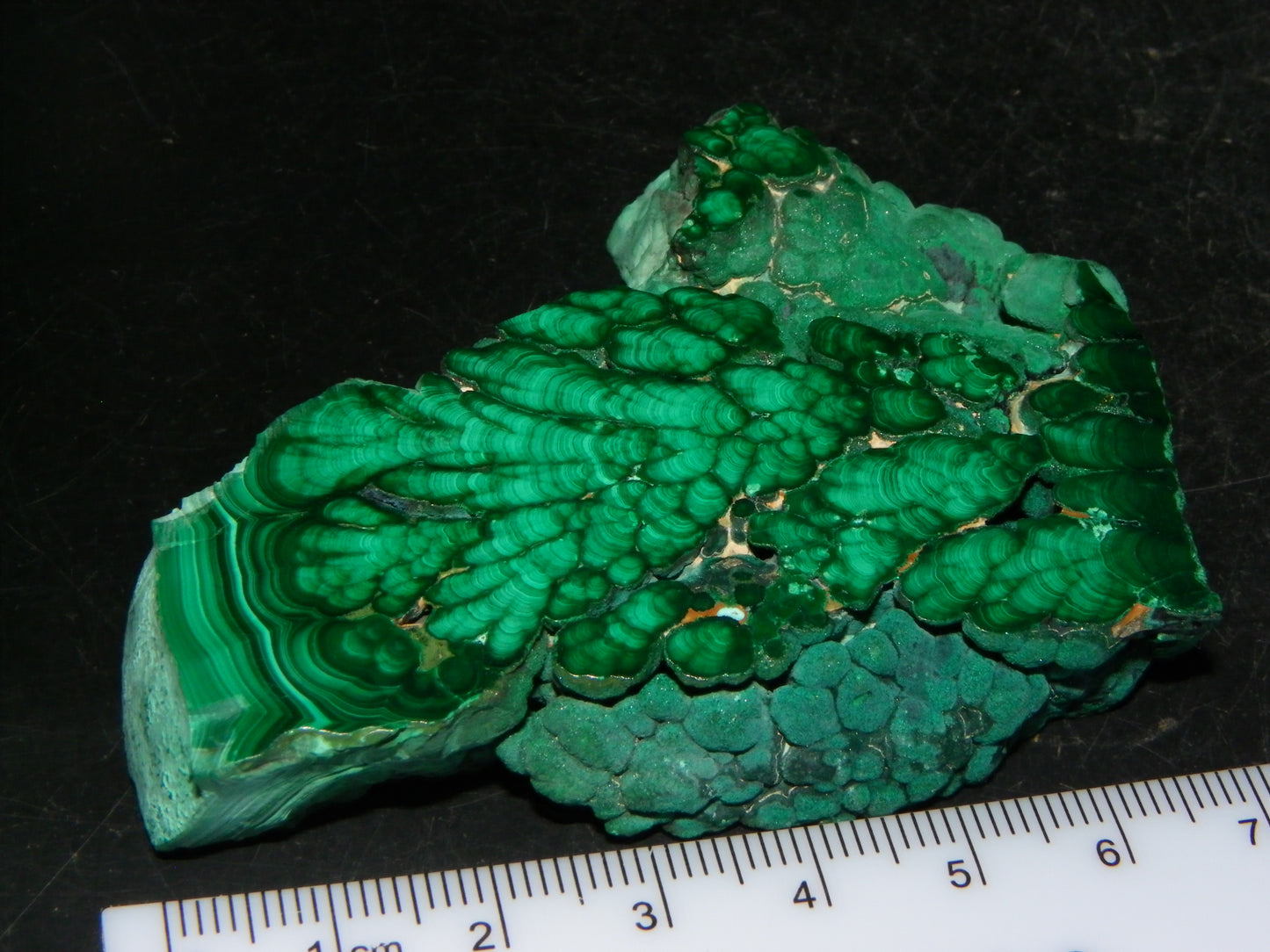 Nice Quality Malachite Polished Plume Specimen 565.5cts Superb Patterning :)