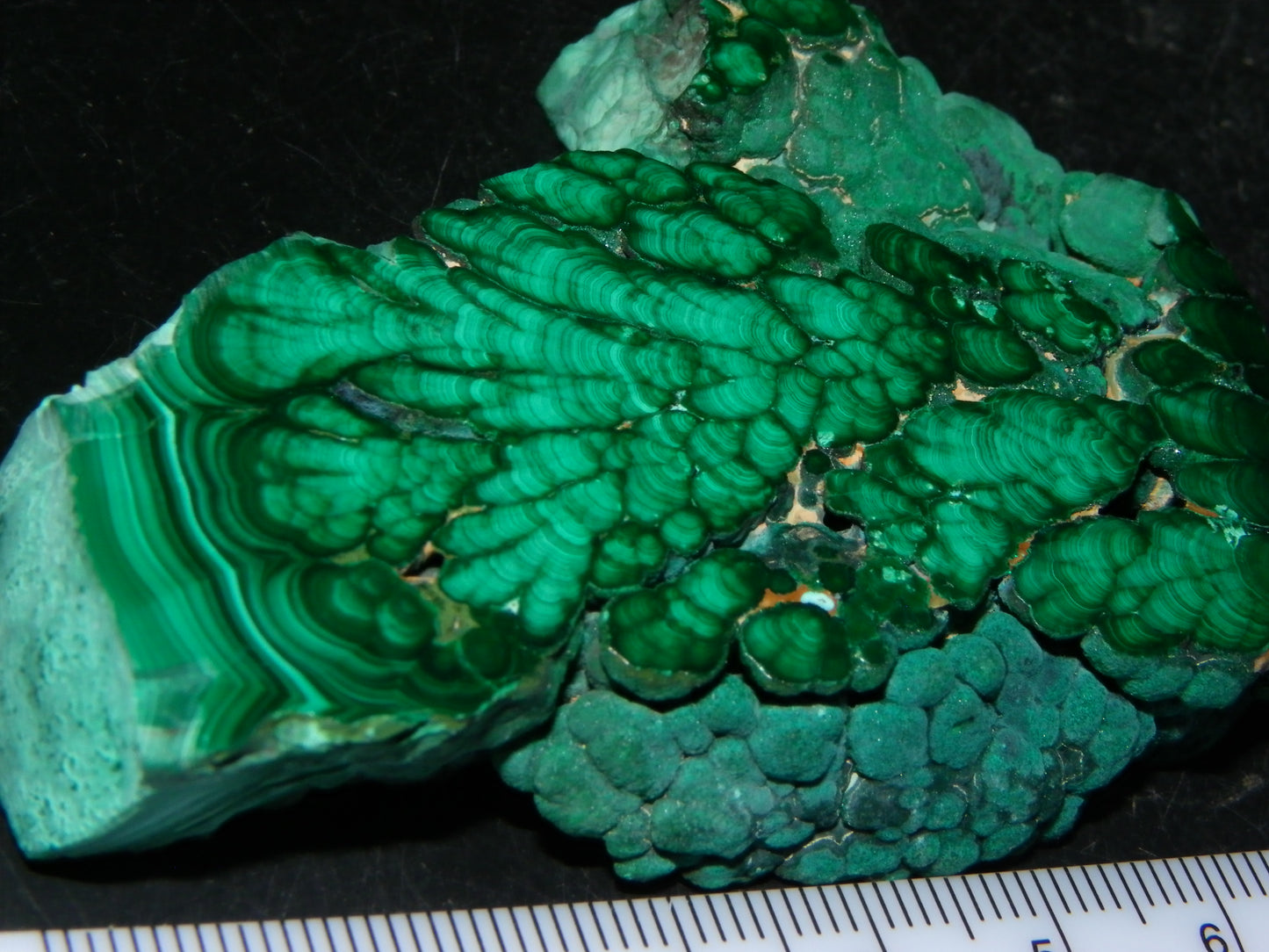 Nice Quality Malachite Polished Plume Specimen 565.5cts Superb Patterning :)