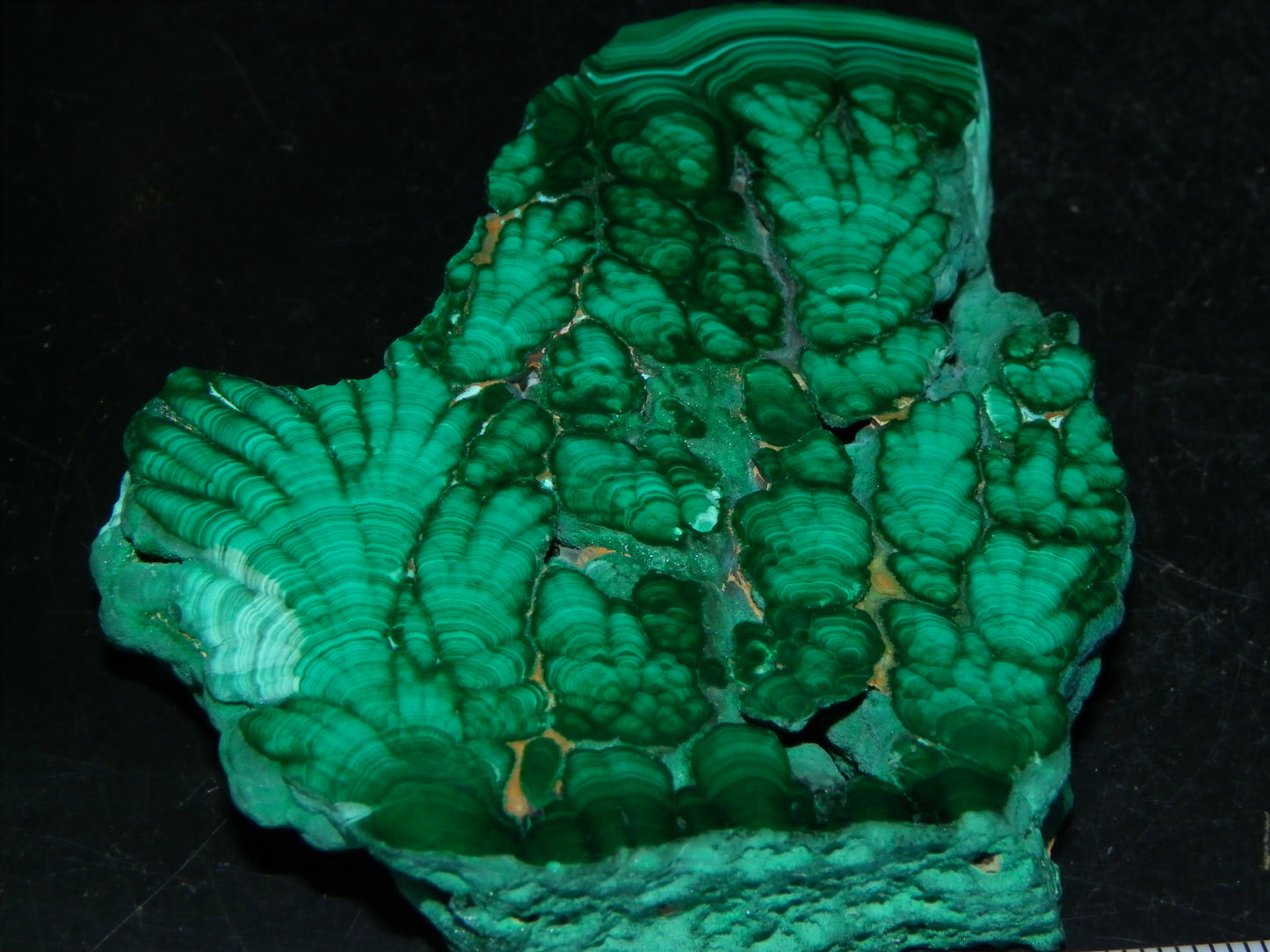 Nice Quality Malachite Polished Plume Specimen 565.5cts Superb Patterning :)