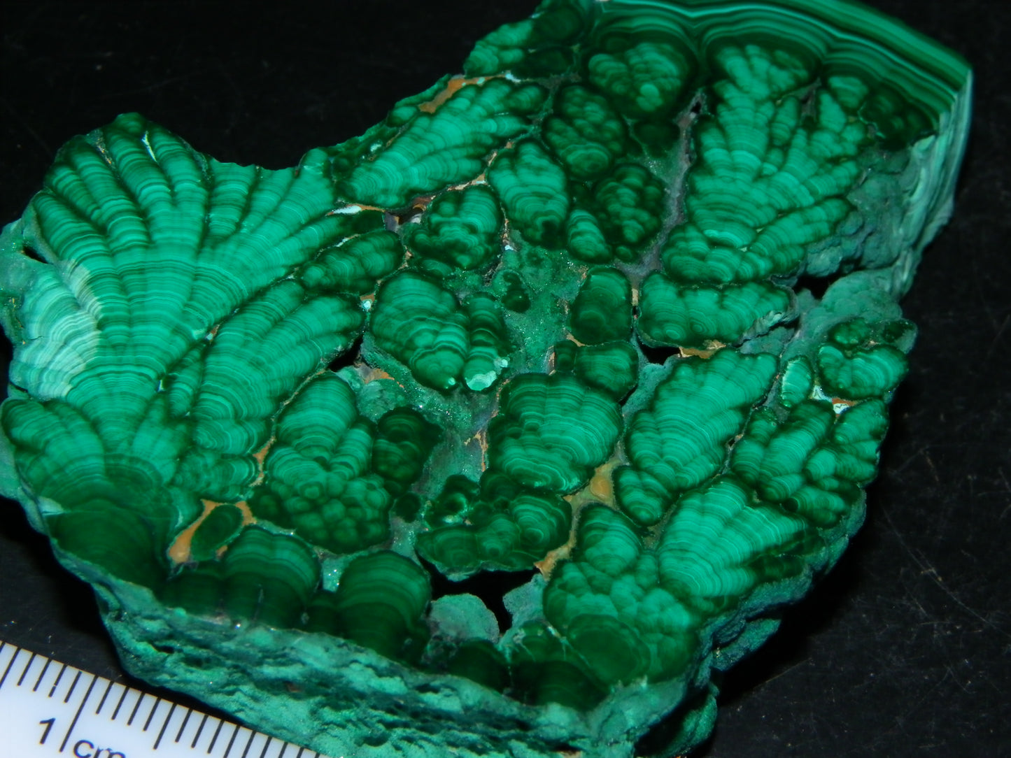 Nice Quality Malachite Polished Plume Specimen 565.5cts Superb Patterning :)