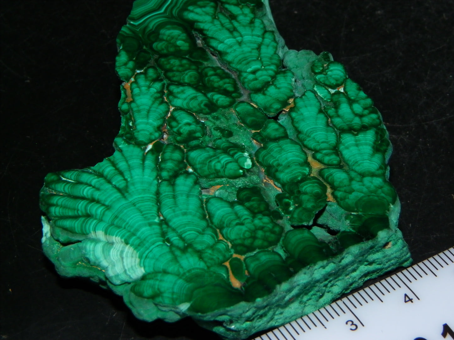 Nice Quality Malachite Polished Plume Specimen 565.5cts Superb Patterning :)