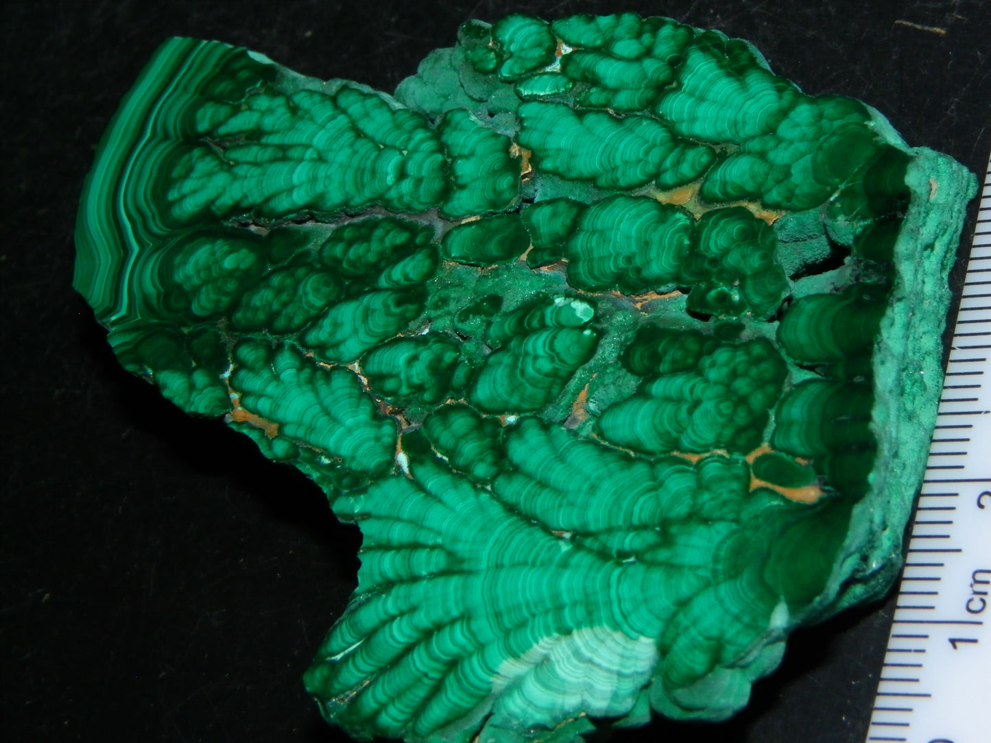 Nice Quality Malachite Polished Plume Specimen 565.5cts Superb Patterning :)