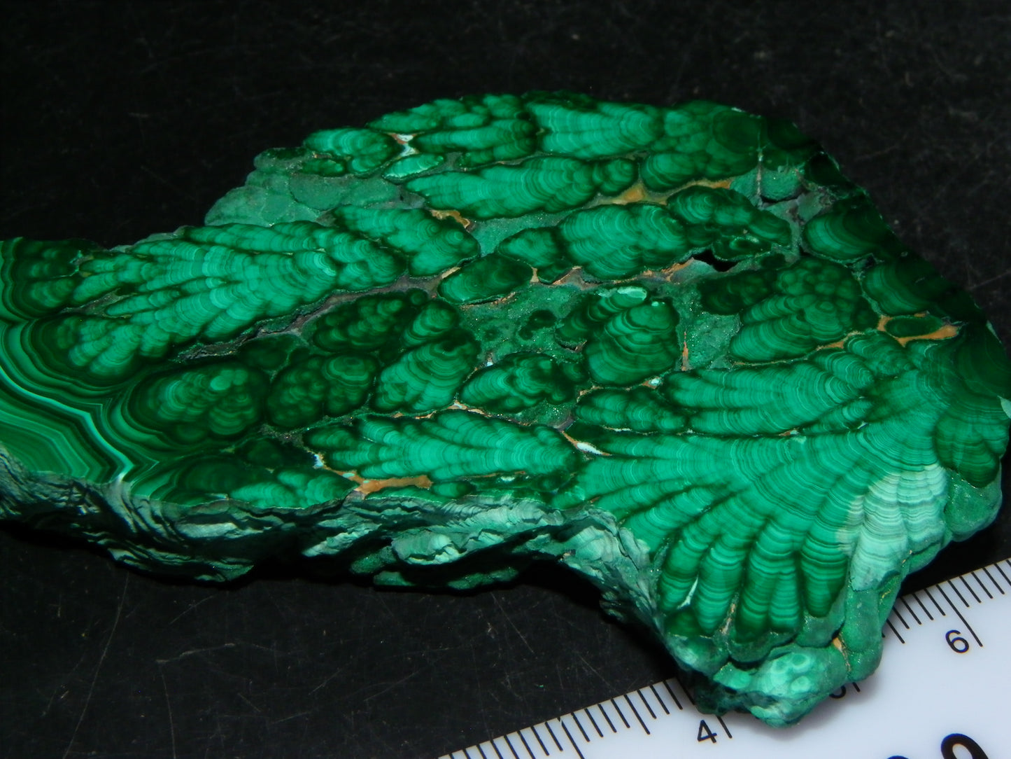 Nice Quality Malachite Polished Plume Specimen 565.5cts Superb Patterning :)