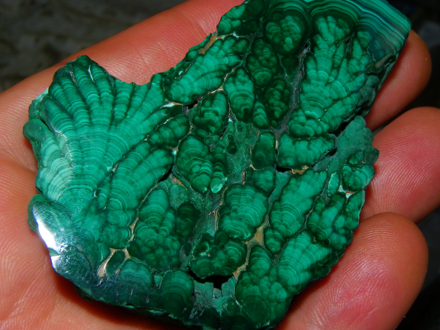 Nice Quality Malachite Polished Plume Specimen 565.5cts Superb Patterning :)