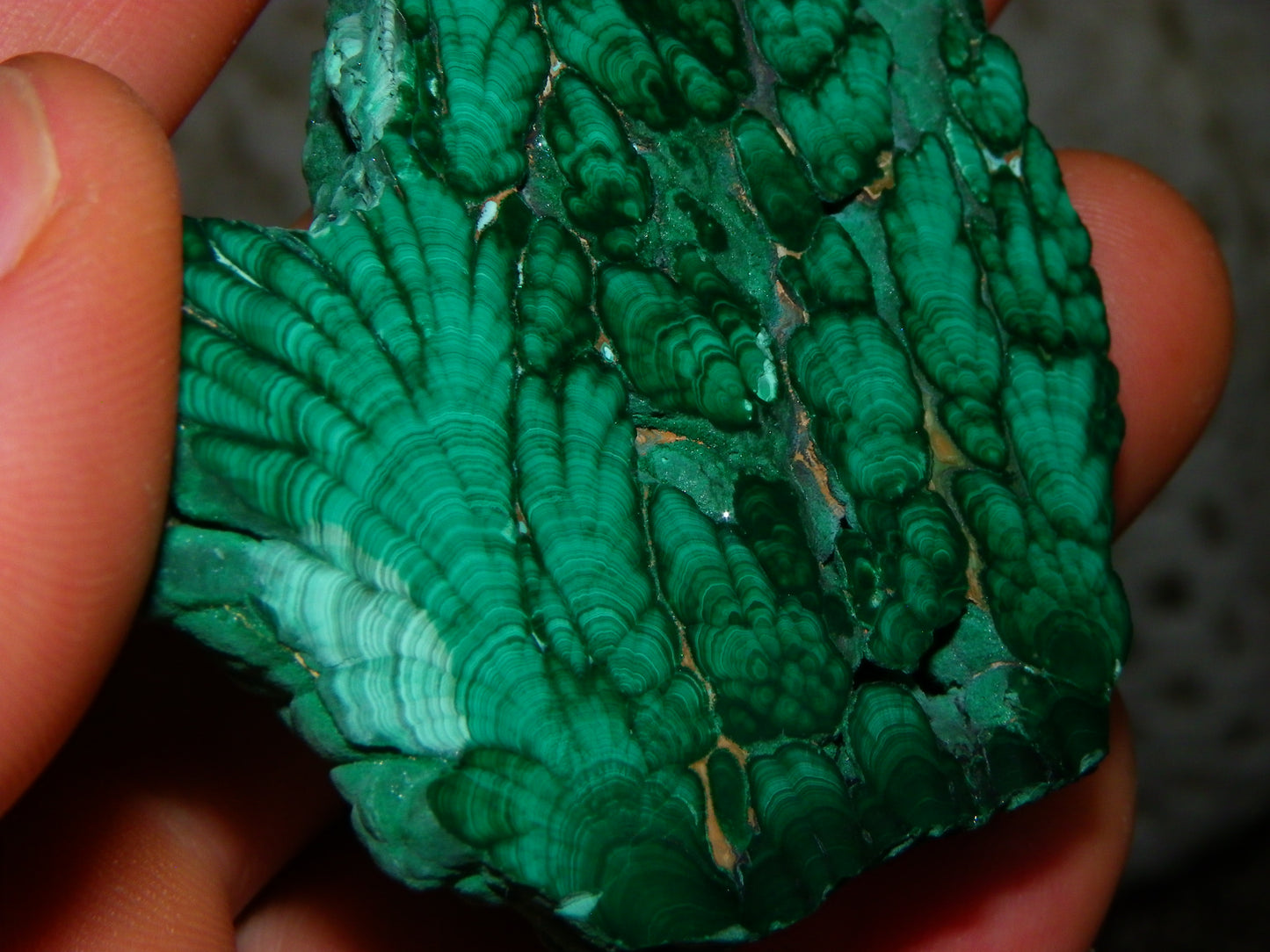 Nice Quality Malachite Polished Plume Specimen 565.5cts Superb Patterning :)