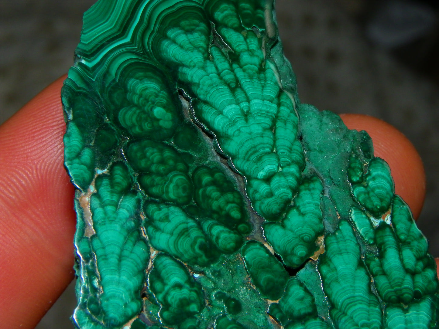 Nice Quality Malachite Polished Plume Specimen 565.5cts Superb Patterning :)