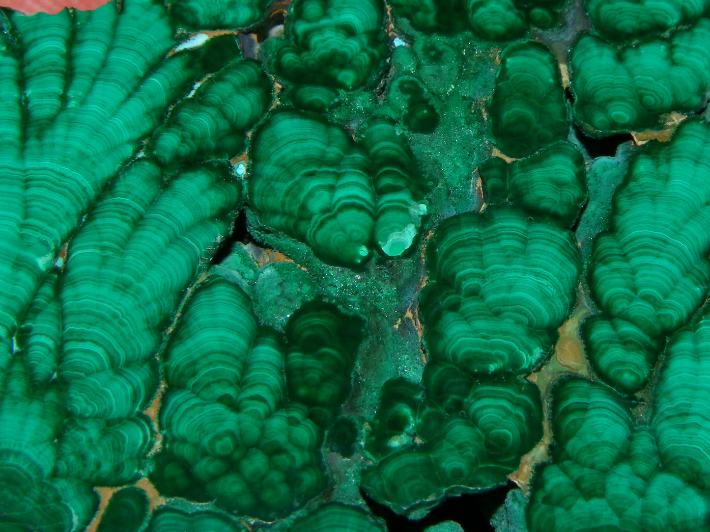 Nice Quality Malachite Polished Plume Specimen 565.5cts Superb Patterning :)