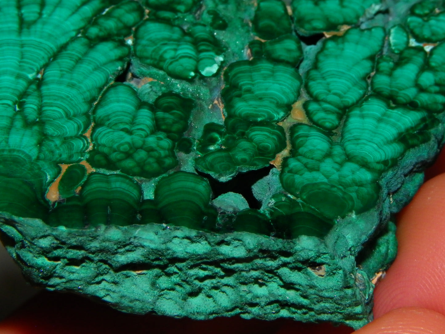 Nice Quality Malachite Polished Plume Specimen 565.5cts Superb Patterning :)