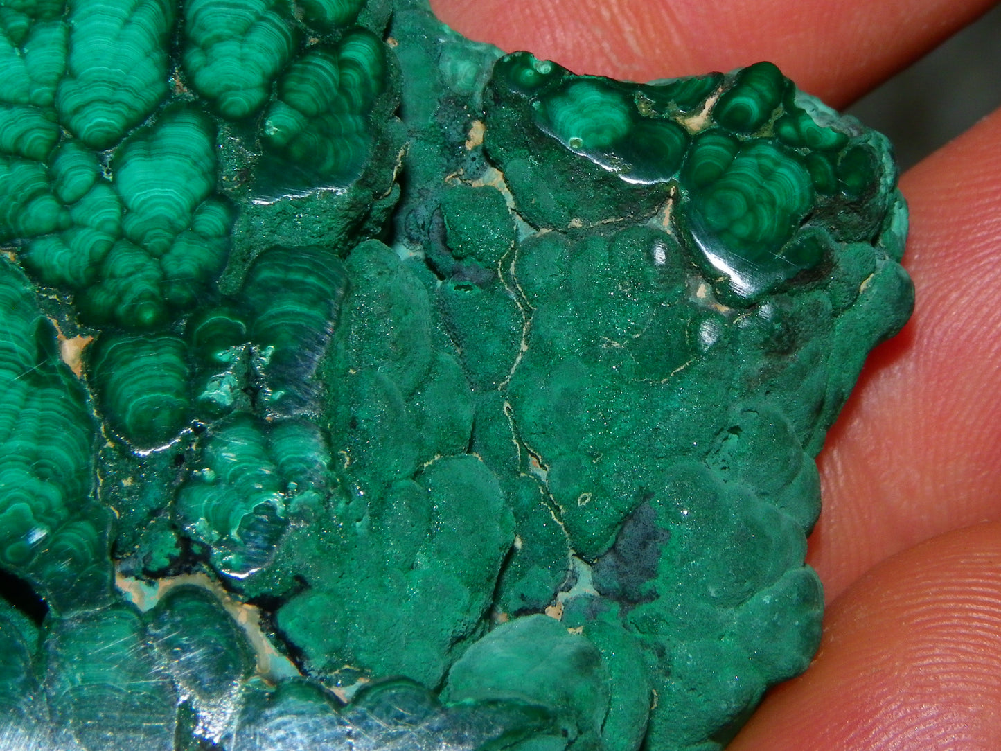 Nice Quality Malachite Polished Plume Specimen 565.5cts Superb Patterning :)