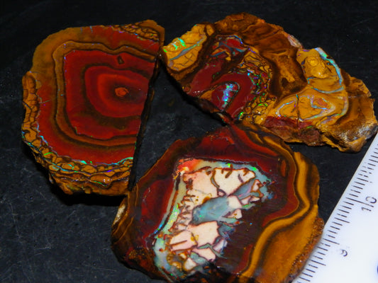 NIce Rough/Sliced Koroit Opals Nuts 260cts Patterns Fires Double sided :)