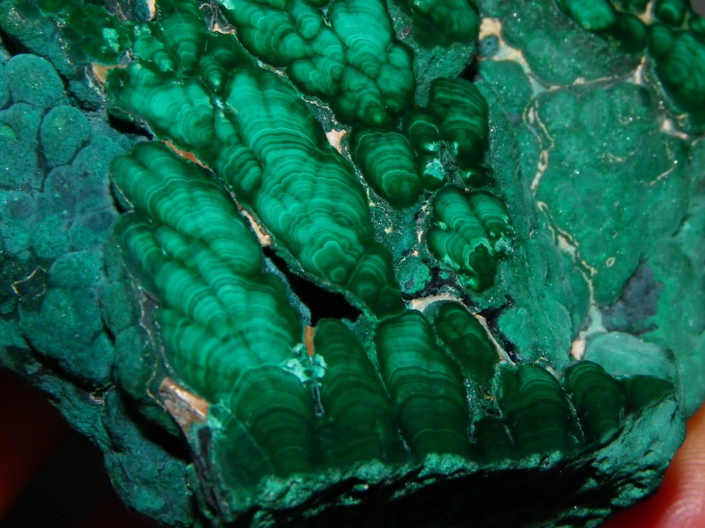 Nice Quality Malachite Polished Plume Specimen 565.5cts Superb Patterning :)