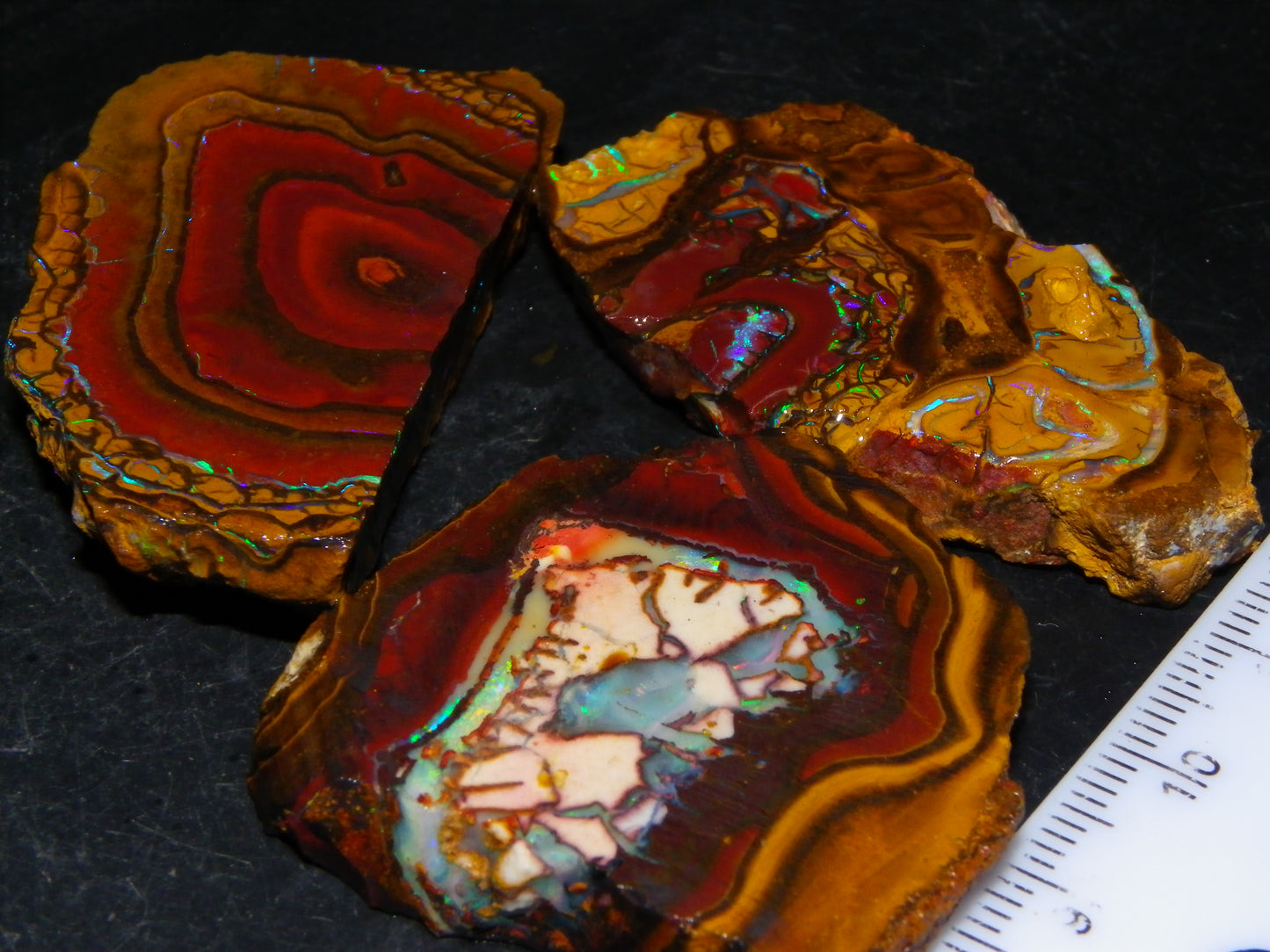 NIce Rough/Sliced Koroit Opals Nuts 260cts Patterns Fires Double sided :)