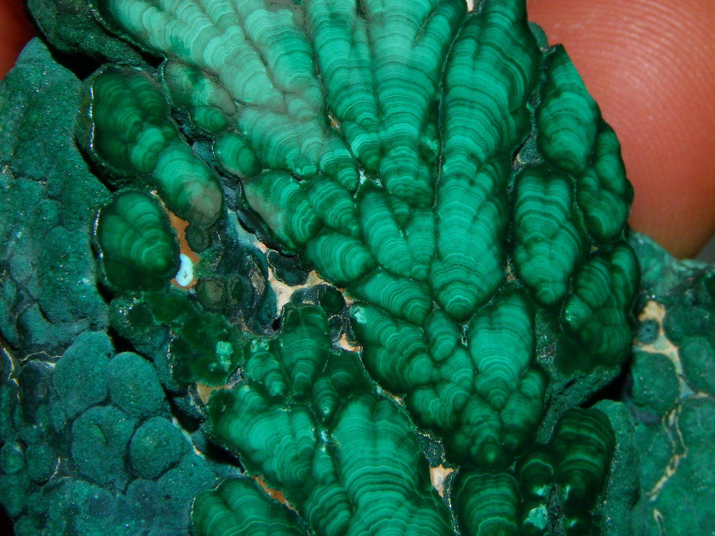 Nice Quality Malachite Polished Plume Specimen 565.5cts Superb Patterning :)