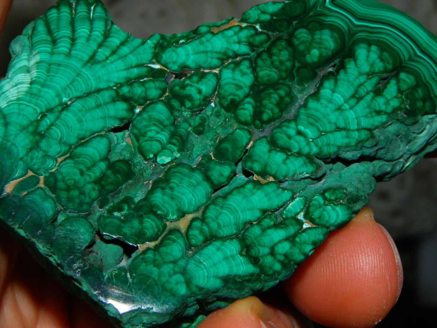 Nice Quality Malachite Polished Plume Specimen 565.5cts Superb Patterning :)