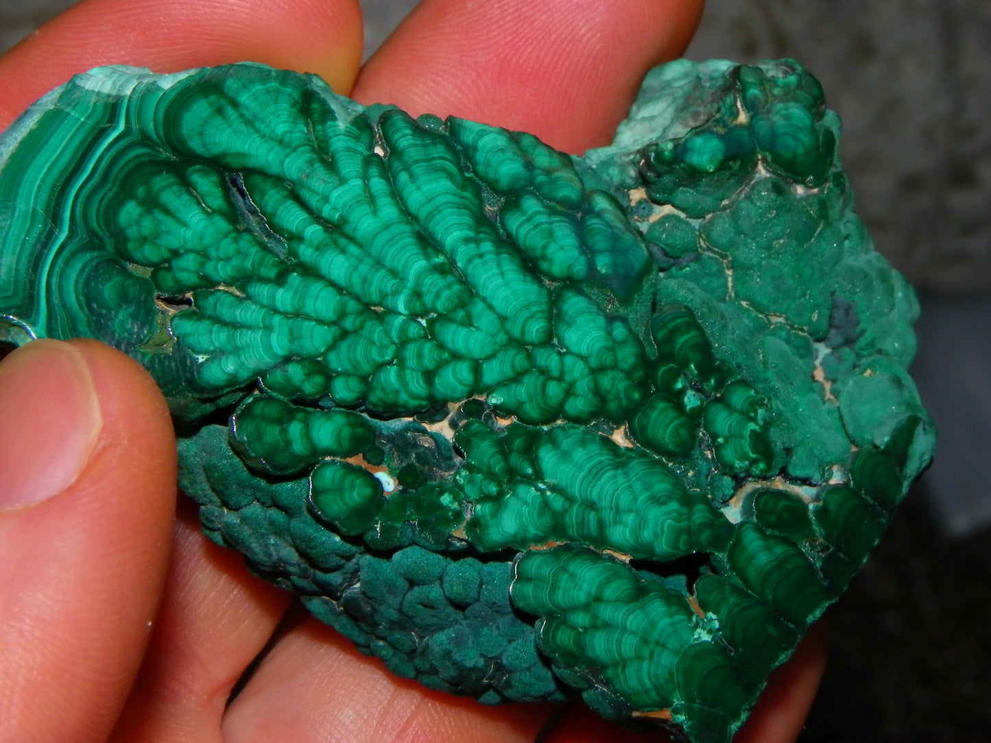 Nice Quality Malachite Polished Plume Specimen 565.5cts Superb Patterning :)