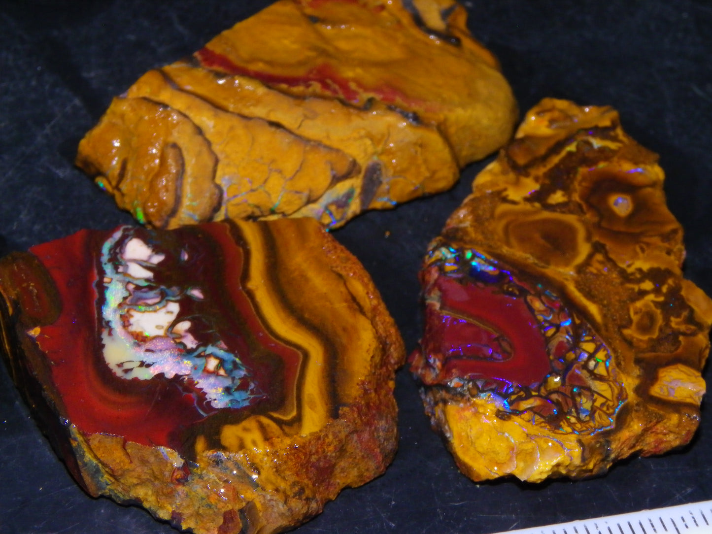 NIce Rough/Sliced Koroit Opals Nuts 260cts Patterns Fires Double sided :)