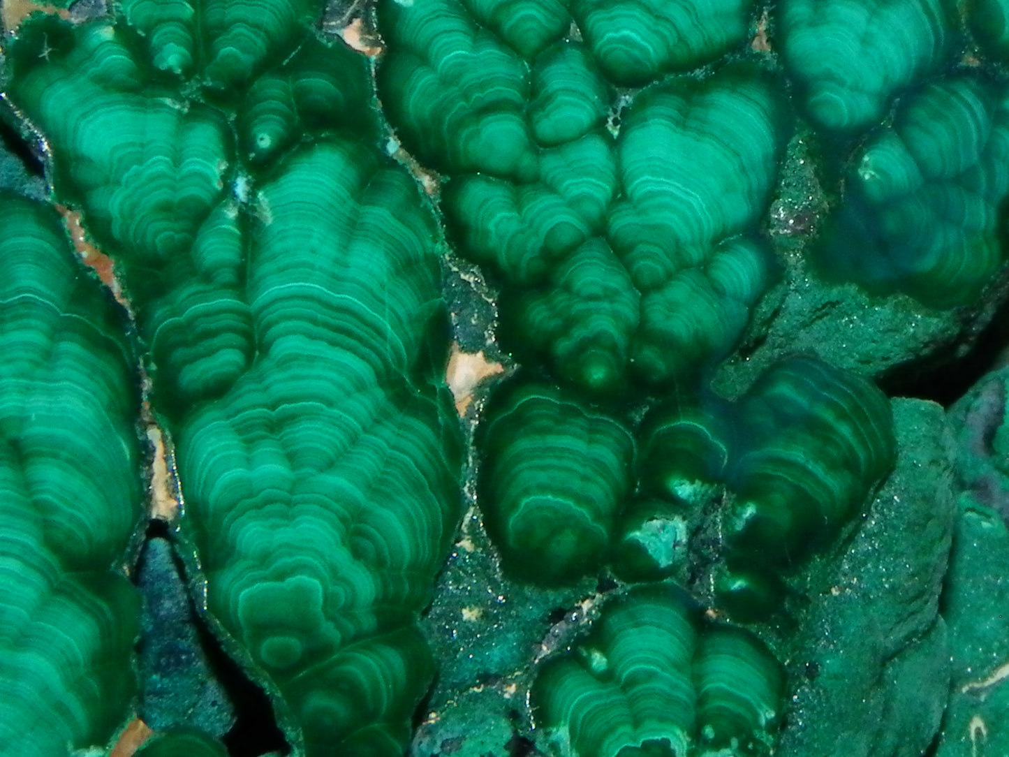 Nice Quality Malachite Polished Plume Specimen 565.5cts Superb Patterning :)