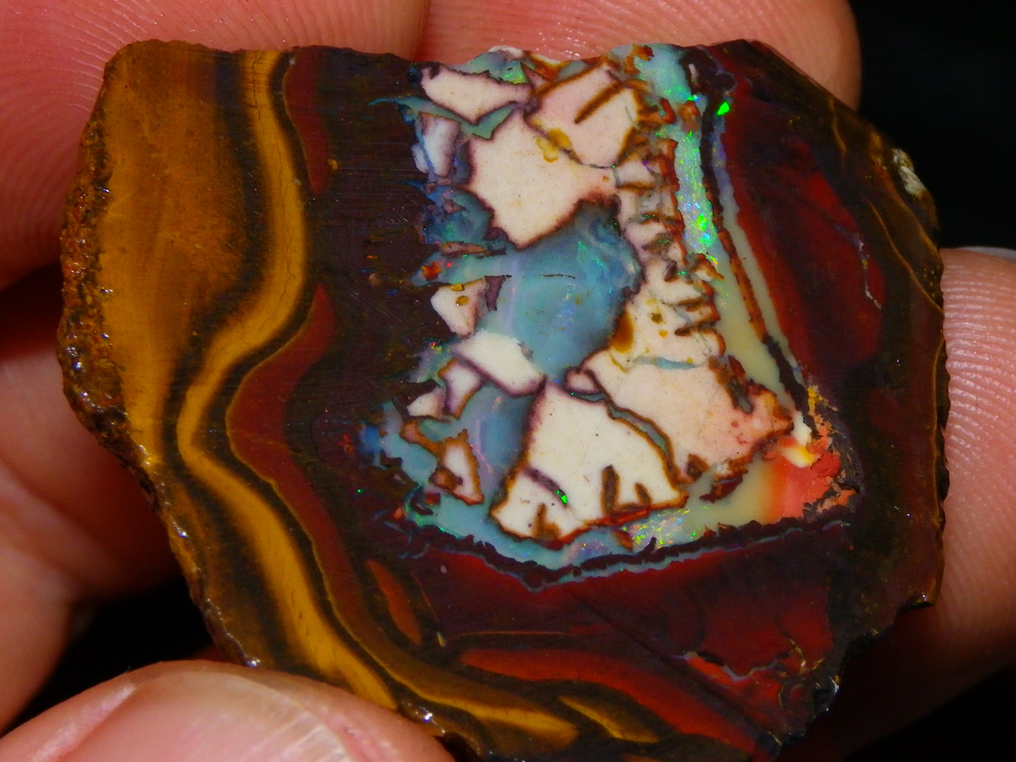 NIce Rough/Sliced Koroit Opals Nuts 260cts Patterns Fires Double sided :)