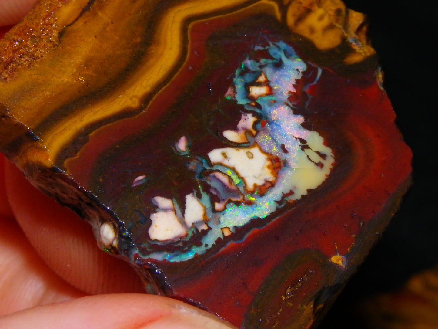 NIce Rough/Sliced Koroit Opals Nuts 260cts Patterns Fires Double sided :)