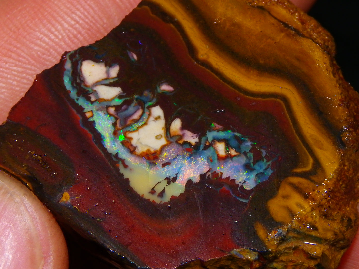 NIce Rough/Sliced Koroit Opals Nuts 260cts Patterns Fires Double sided :)