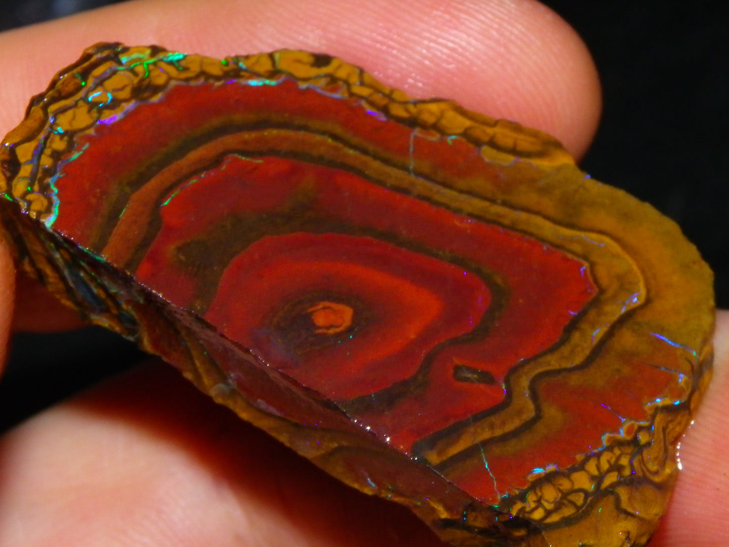 NIce Rough/Sliced Koroit Opals Nuts 260cts Patterns Fires Double sided :)