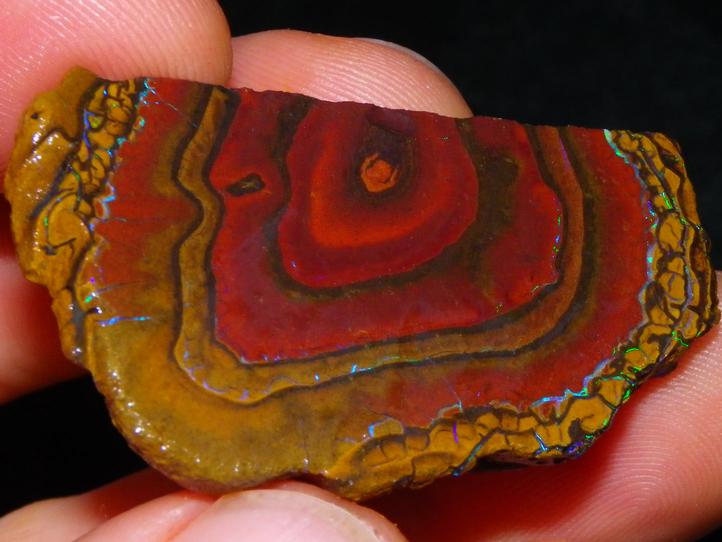 NIce Rough/Sliced Koroit Opals Nuts 260cts Patterns Fires Double sided :)