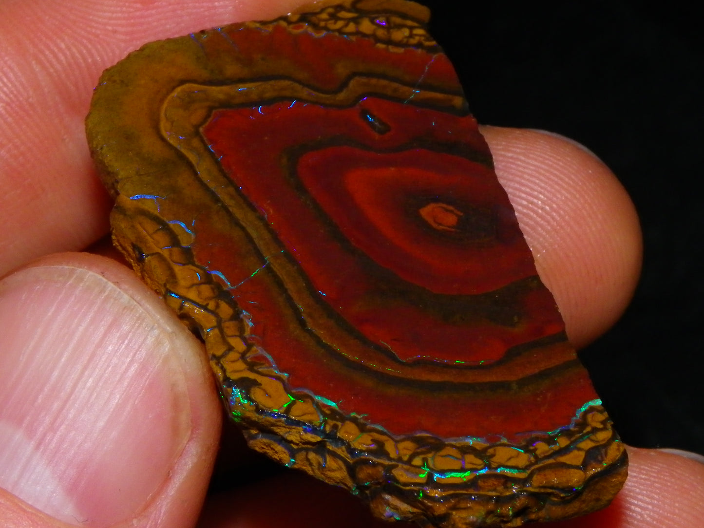 NIce Rough/Sliced Koroit Opals Nuts 260cts Patterns Fires Double sided :)