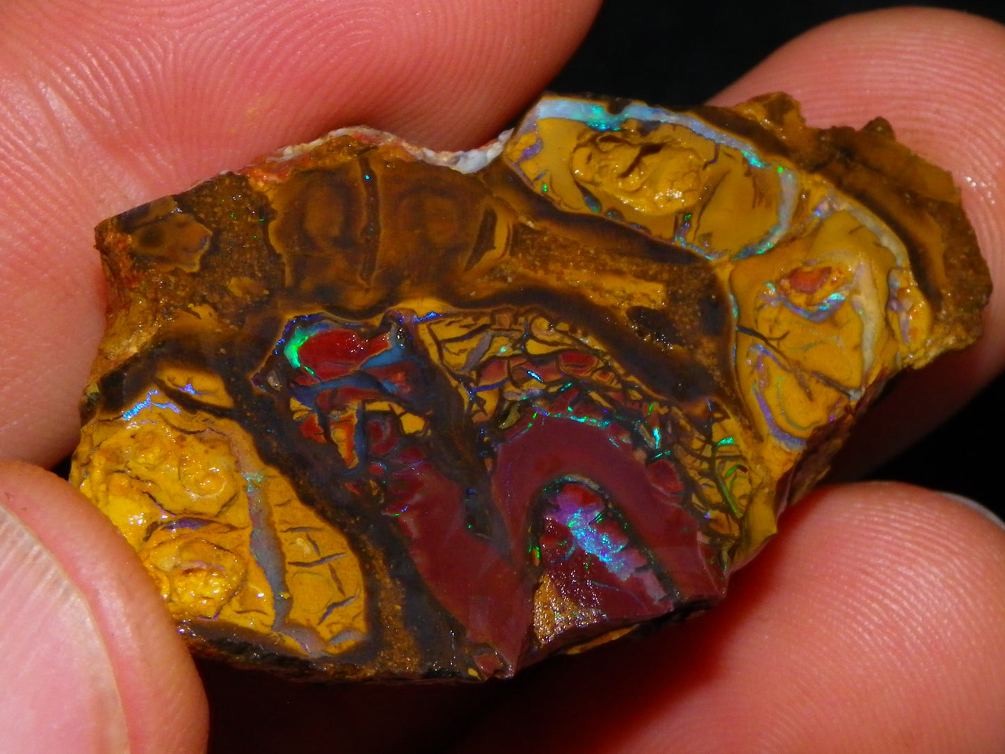 NIce Rough/Sliced Koroit Opals Nuts 260cts Patterns Fires Double sided :)