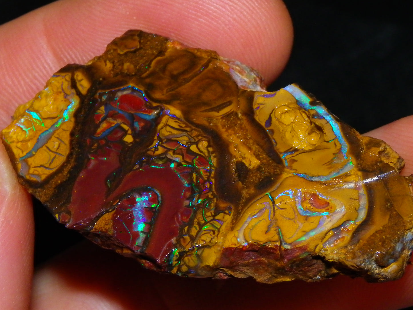 NIce Rough/Sliced Koroit Opals Nuts 260cts Patterns Fires Double sided :)